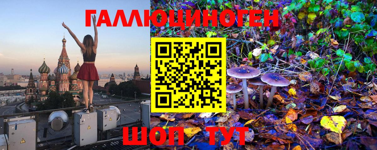 Галлюциногенные грибы MAGIC MUSHROOMS  Вход с VPN  Кудрово  Псилоцибиновые грибы мухоморы 